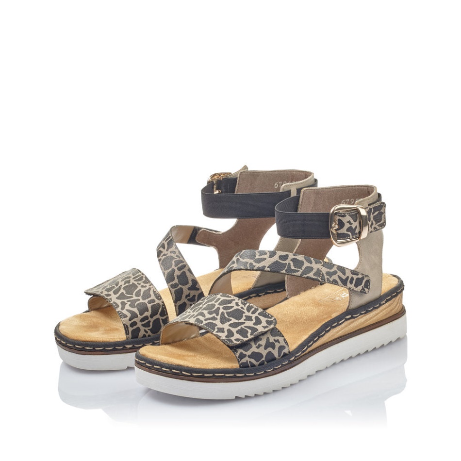 67958 Regina Brown Rieker