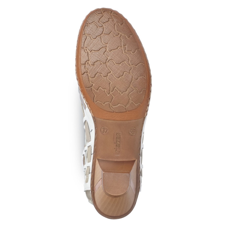 Reh 46778 Sina Rieker