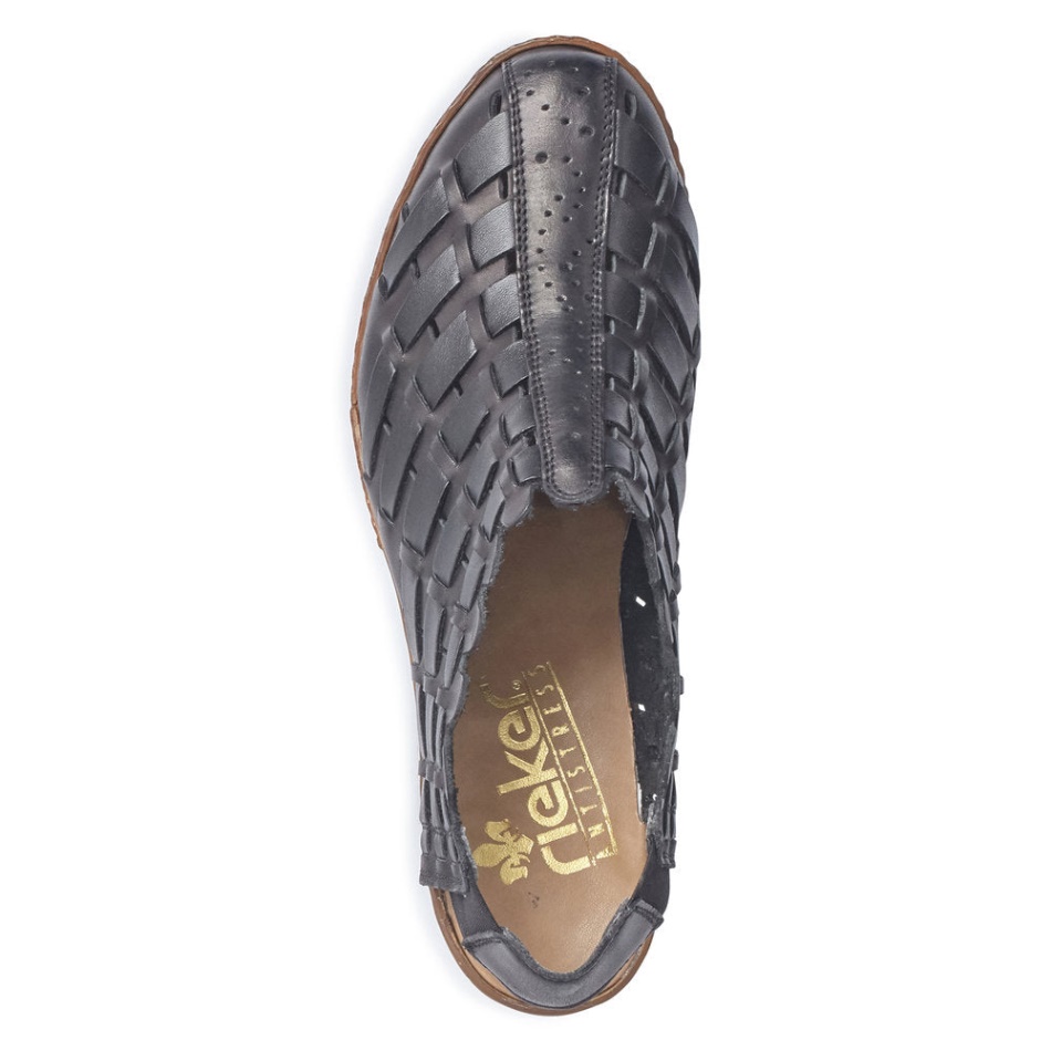 Reh 46778 Sina Rieker