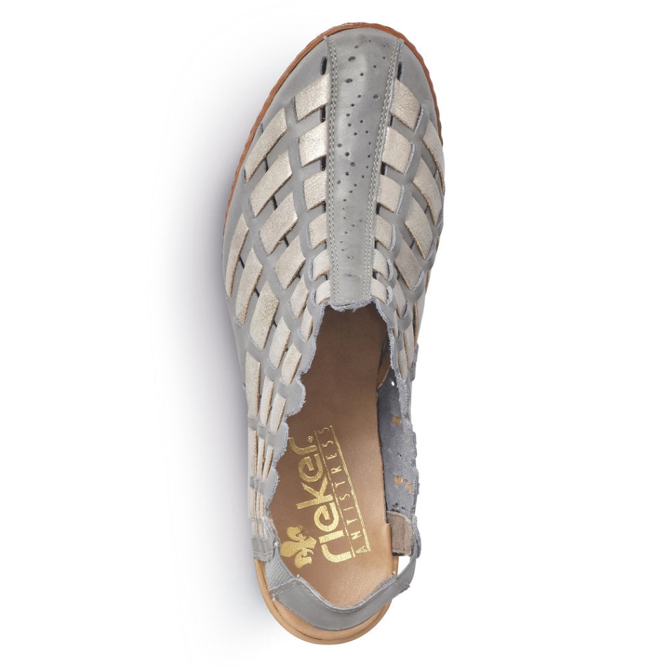 Reh 46778 Sina Rieker