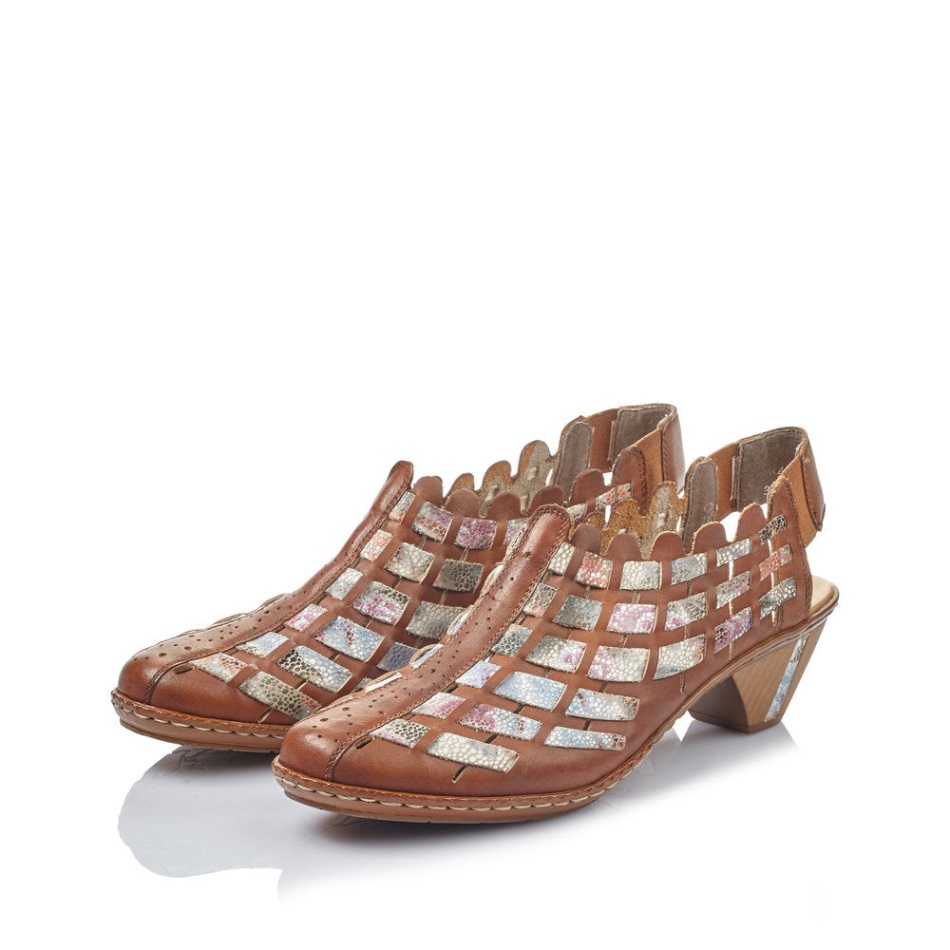 Reh 46778 Sina Rieker