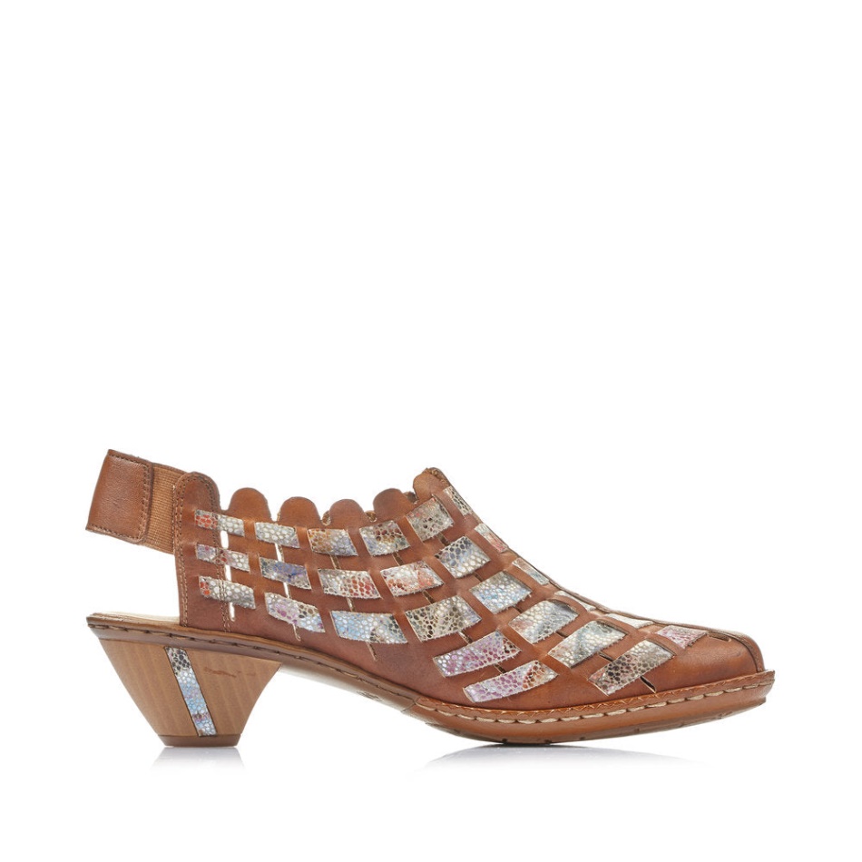 Reh 46778 Sina Rieker