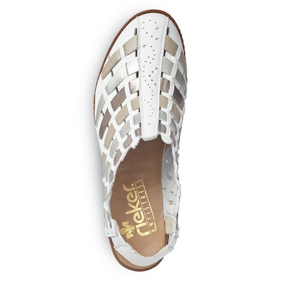 Reh 46778 Sina Rieker