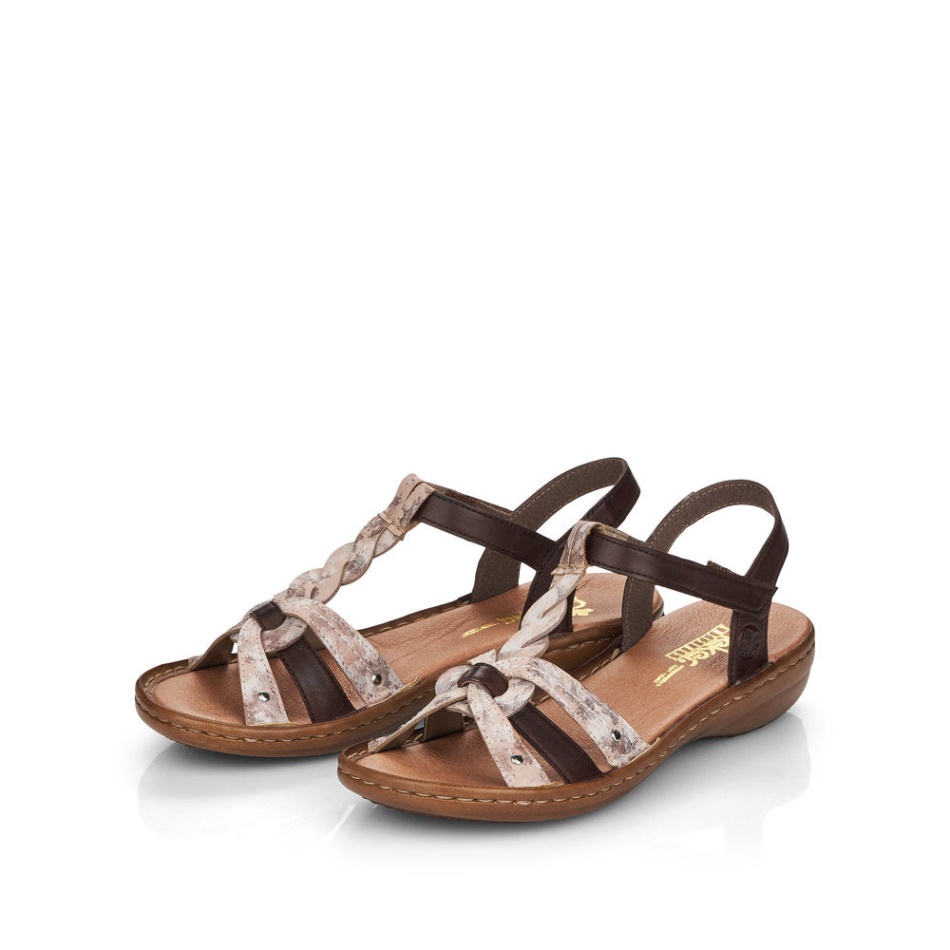 Rosa 60838 Regina Rieker