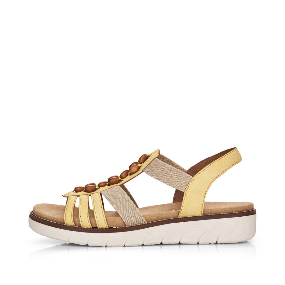 Sun D2065 Jocelyn Rieker